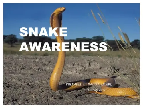 awarness