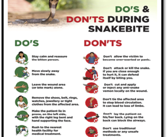 snake awarness